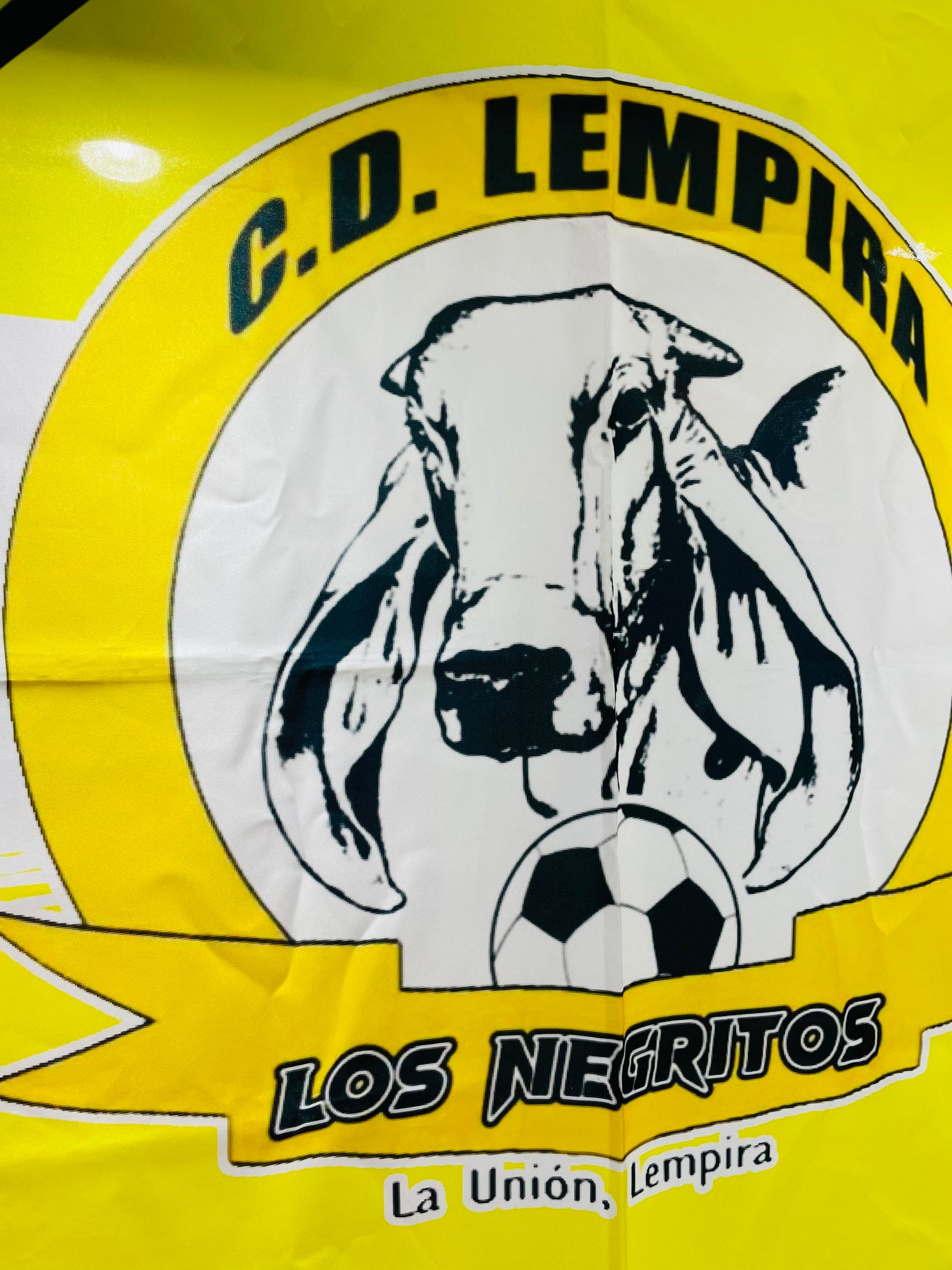 Bandera C.D. Lempira