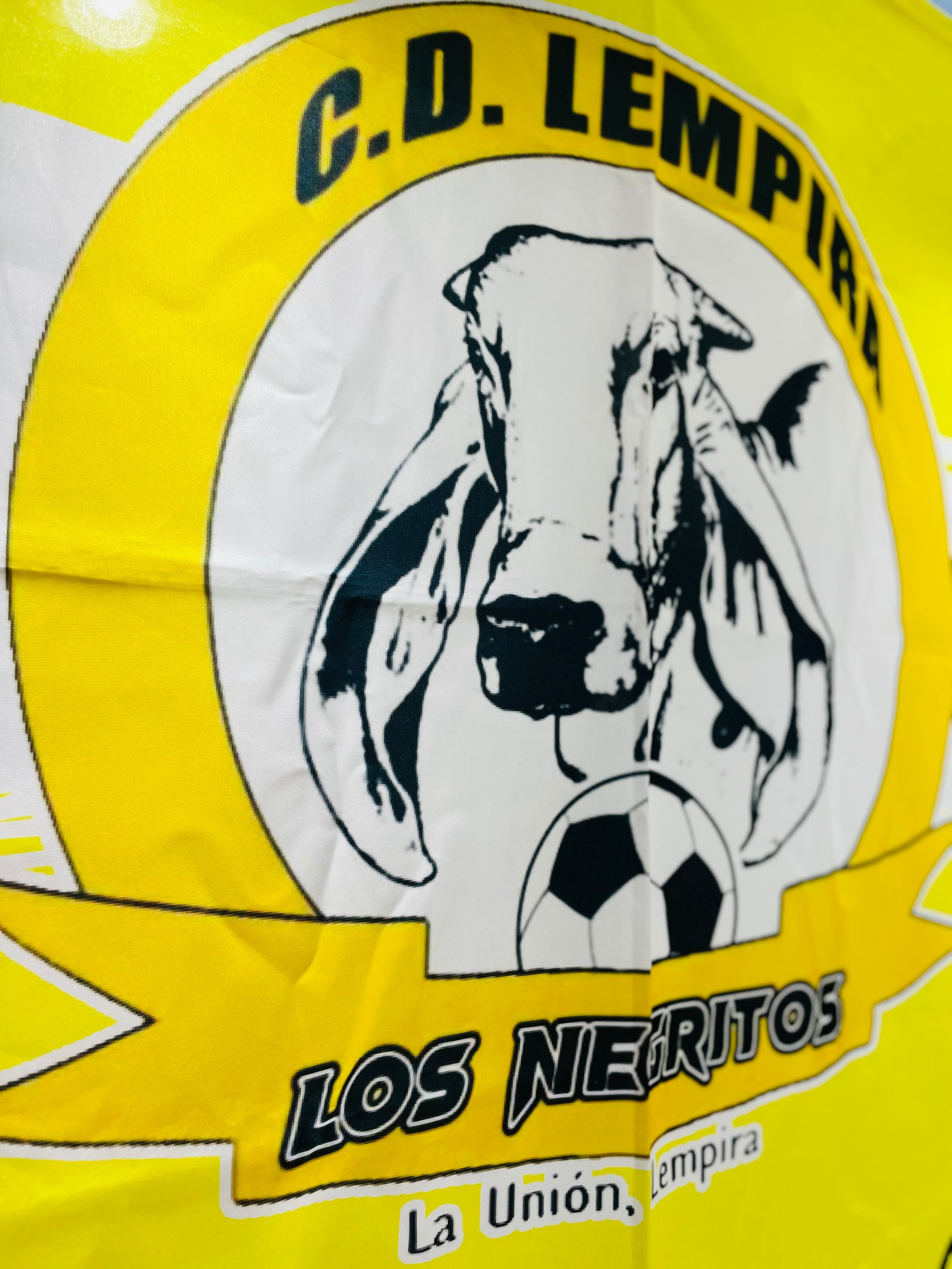 Bandera C.D. Lempira