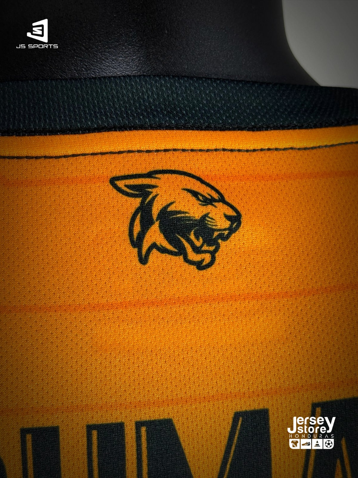 UNIFORME COMPLETO DE FC PUMAS HN